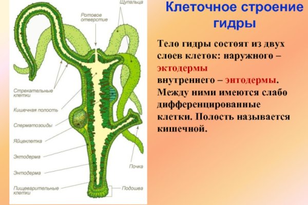 Как приобрести биткоины на сайте мега