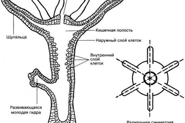 Адрес омг