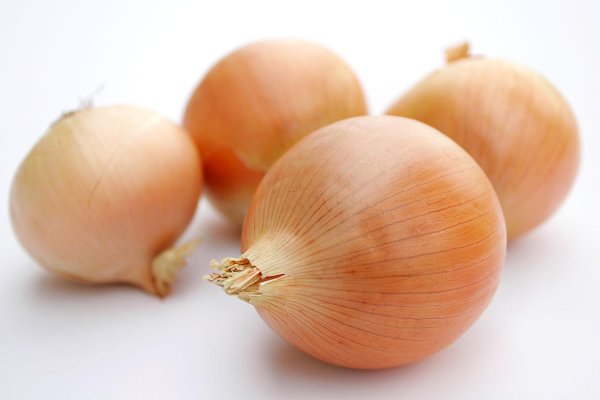 Megaruzxpnew4af onion com tor