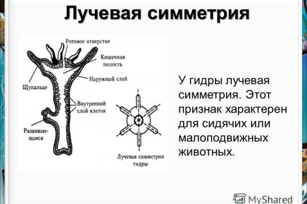 Актуальные ссылки даркнет