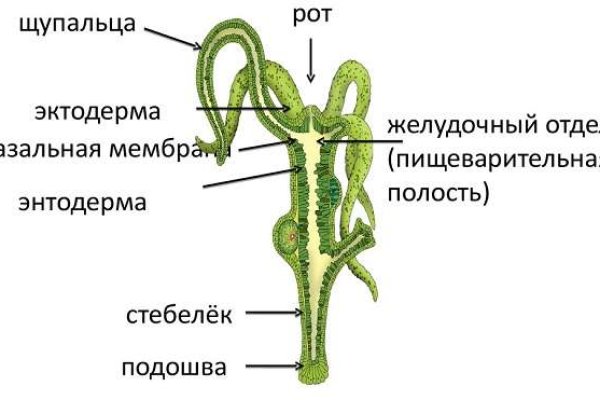 Mega магазин ссылка