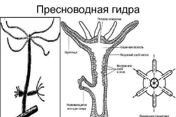 Кто придумал блэкспрут